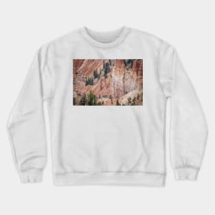 850_6942 Crewneck Sweatshirt